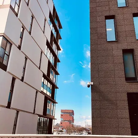 Bacchus Antwerpen - Rooms&Apartments Exterior foto